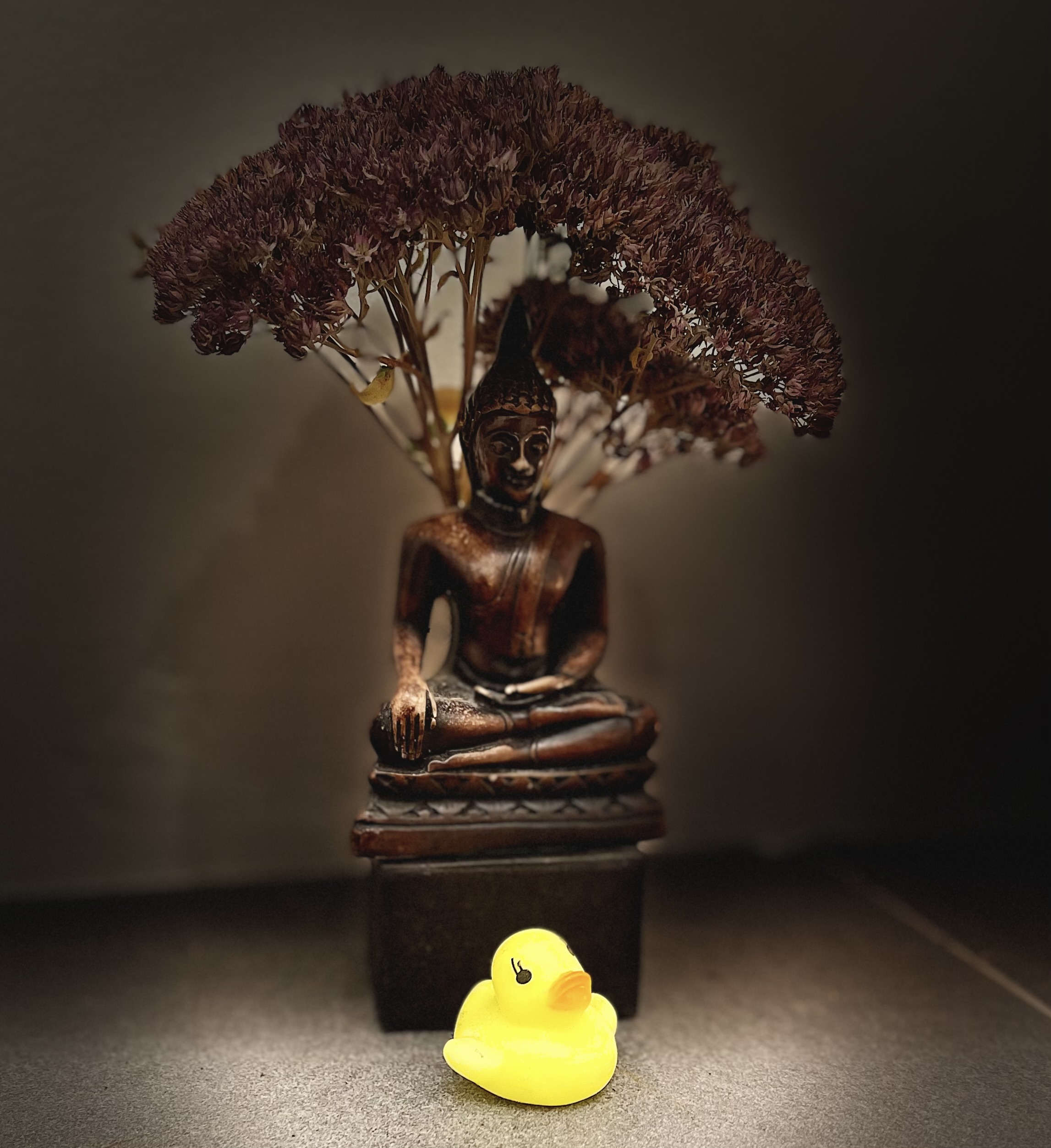 Zen.nl, Zen, meditatie, leren mediteren, foto